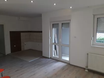 Vase Pelagića | 4zida.rs