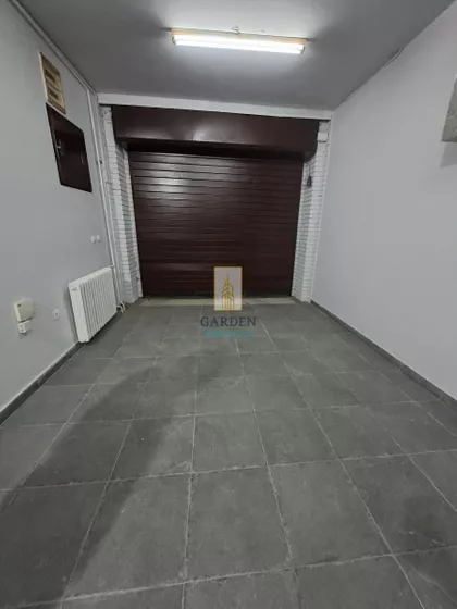 Ulofa Palmea | 4zida.rs