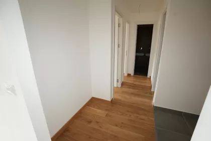 Vojvode Stepe | 4zida.rs