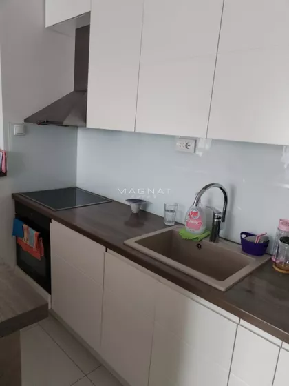 Radoja Domanovića | 4zida.rs