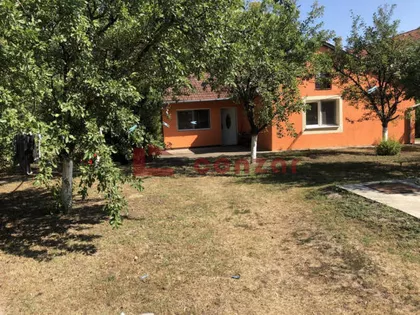 Palić | 4zida.rs