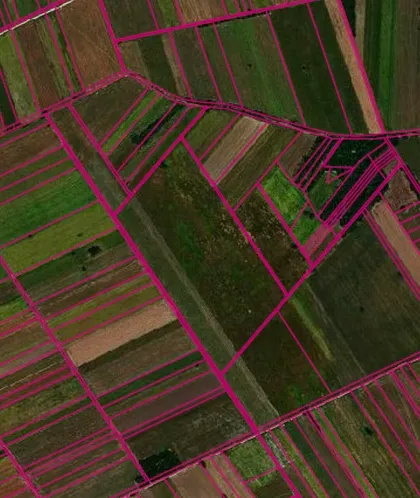 Petra Drapšina | 4zida.rs