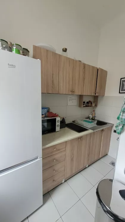 Iva Lole Ribara | 4zida.rs