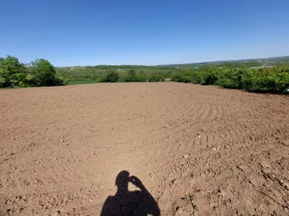 Košutička | 4zida.rs