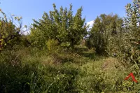 Plac | 4zida