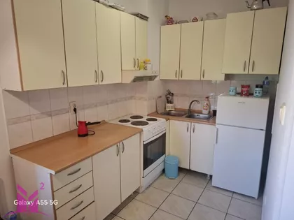 Nova Detelinara | 4zida.rs
