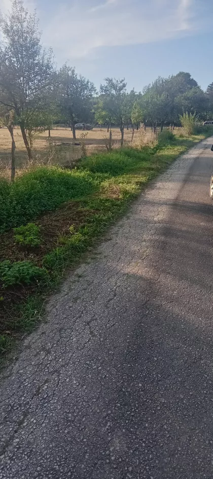 Momčila Toškovića | 4zida.rs