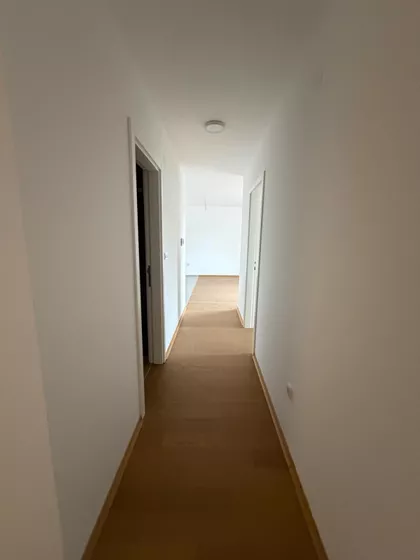 Radoja Domanovića | 4zida.rs