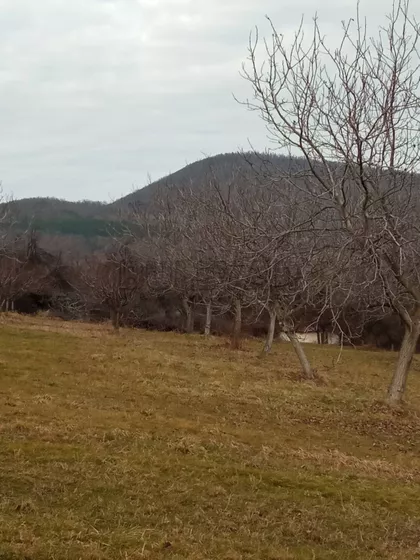Ramaća | 4zida.rs