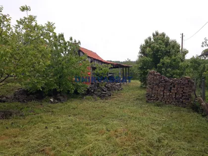 Majora Lazara Donovića | 4zida.rs