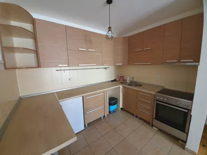 Dr Svetislava Kasapinovića | 4zida.rs