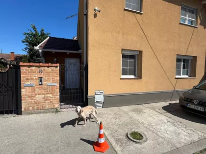 Adi Endrea 30 | 4zida.rs