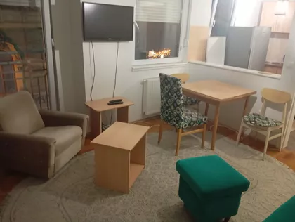 Vase Pelagića | 4zida.rs