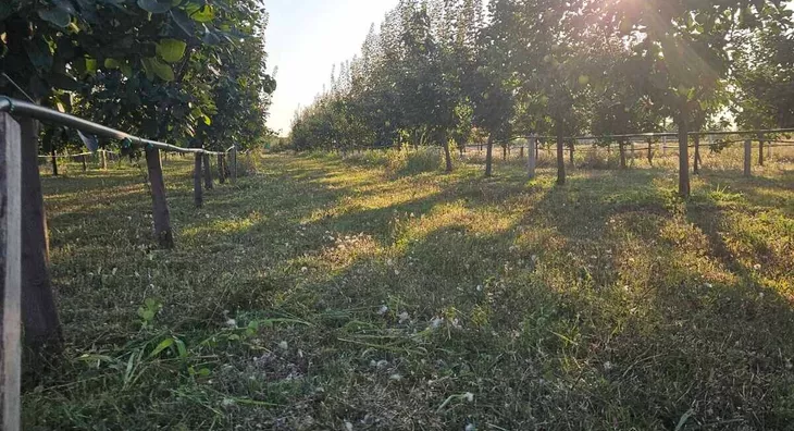 Poljoprivredno zemljište | 4zida