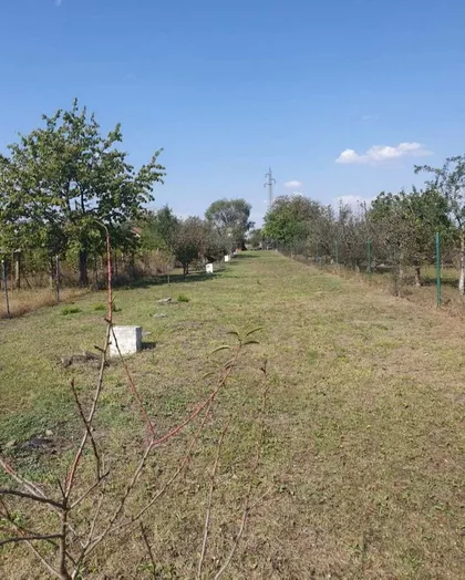 Lazarevo | 4zida.rs