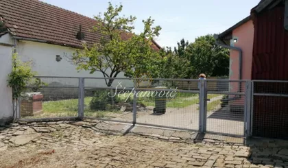 Zmajevo | 4zida.rs