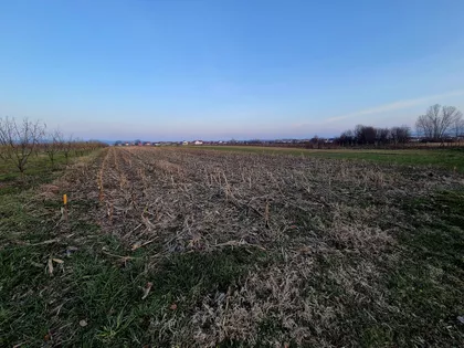 Loznica - Centar | 4zida.rs