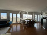 Stari Grad, Gradske lokacije, Novi Sad | 4zida.rs | 4zida.rs