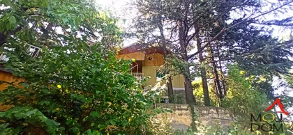 Salaksije | 4zida.rs