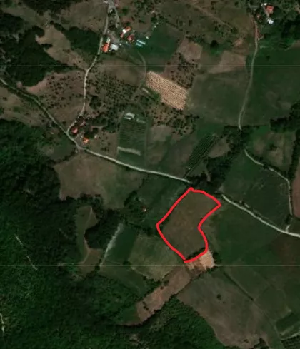 Mršelji  | 4zida.rs