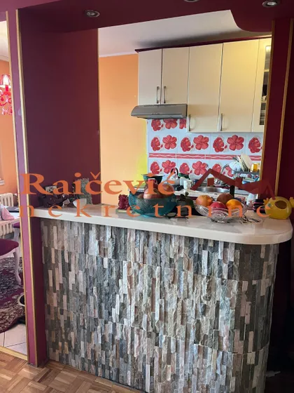 Dr Ivana Ribara | 4zida.rs