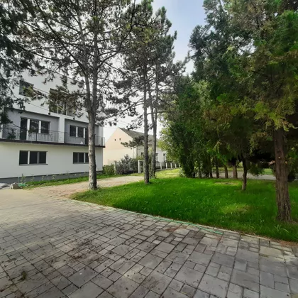 Vere Miščević 21 | 4zida.rs
