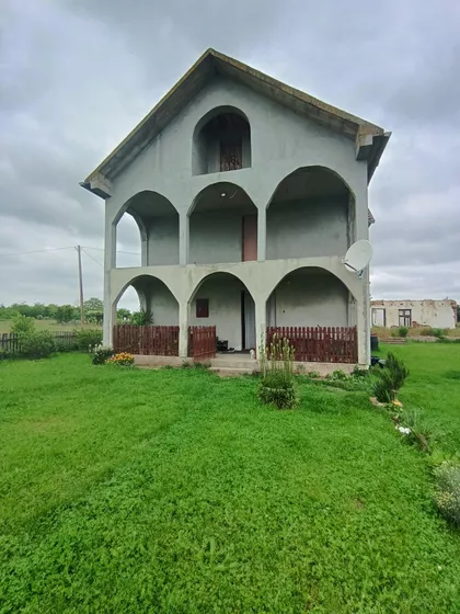 Pambukovica | 4zida.rs