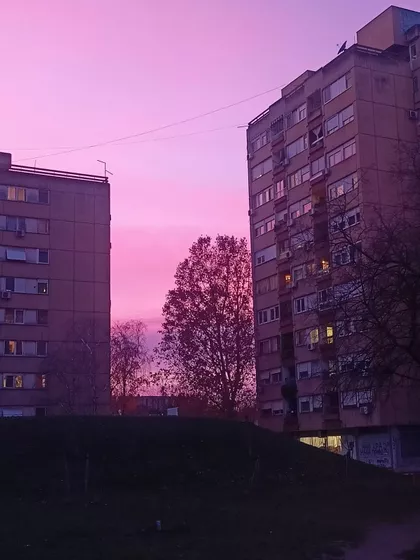 Braće Dronjak | 4zida.rs