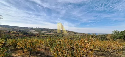 Gradske lokacije | 4zida.rs