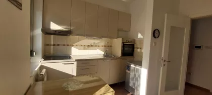 Bore Markovića | 4zida.rs