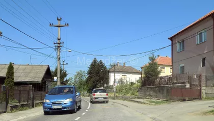 Ostružnica | 4zida.rs