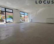 Lokal | 4zida