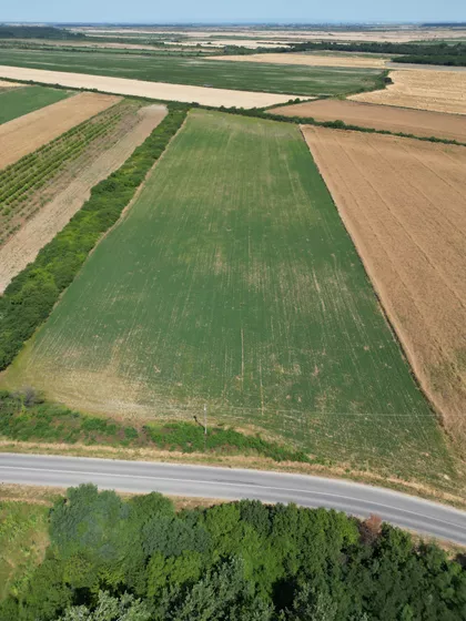 Dvanaestog Avgusta | 4zida.rs