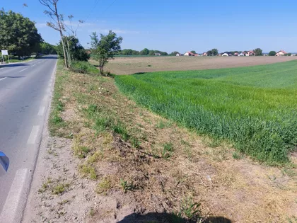 Belegiš | 4zida.rs