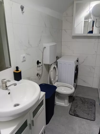 Profesora Vasića | 4zida.rs