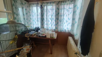 Siniše Stankovića | 4zida.rs