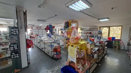 Salvadora Aljendea | 4zida.rs