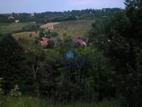 Glavica, Sremska Kamenica, Gradske lokacije, Novi Sad | 4zida.rs