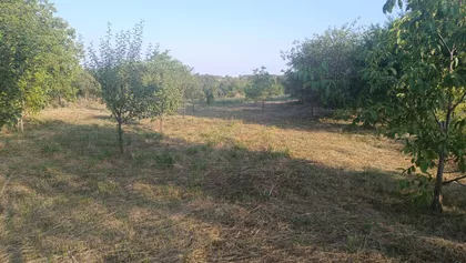 Branka Milijanovića 21 | 4zida.rs