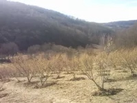 Poljoprivredno zemljište | 4zida