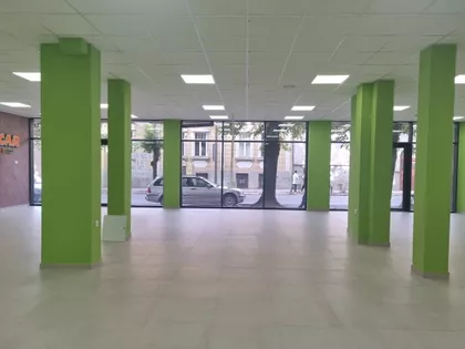 Zmaj Jovina | 4zida.rs