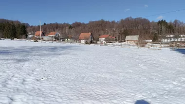 Nemanjina