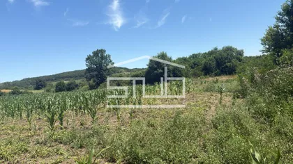 Velika Moštanica | 4zida.rs