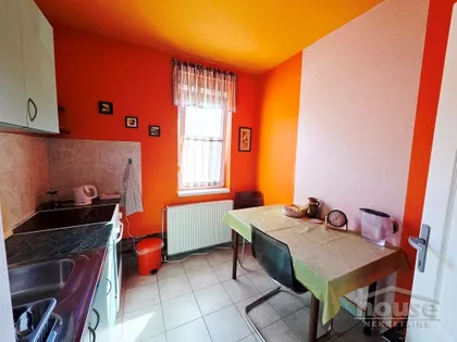 Nova Detelinara | 4zida.rs