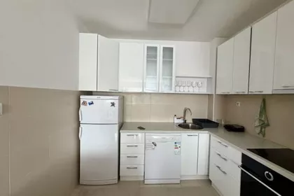 Vojvode Stepe | 4zida.rs