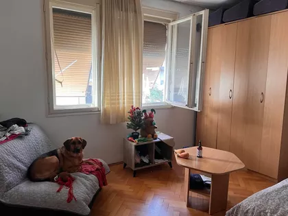 Rastka Petrovića | 4zida.rs