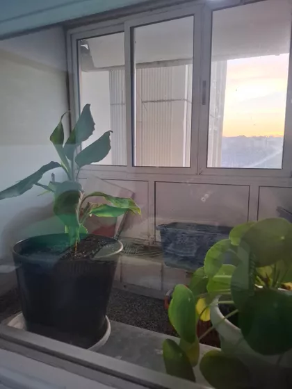 Nikole Tesle | 4zida.rs