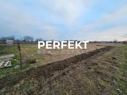 Šarplaninska | 4zida.rs