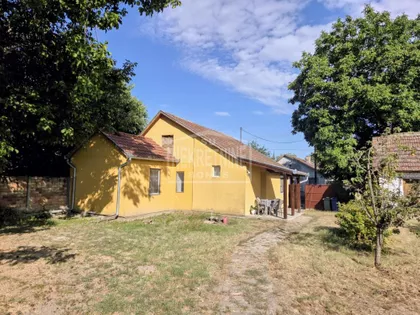 Pačir | 4zida.rs