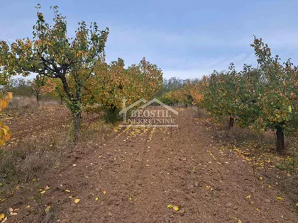 Zaklopača | 4zida.rs